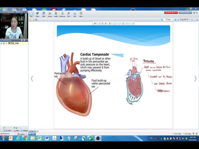 第14節(jié)&nbsp;Cardiovascular&nbsp;system&nbsp;(2)