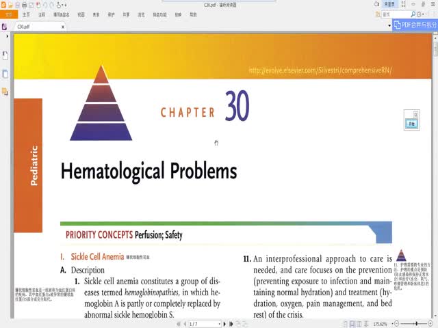 CHAPTER&nbsp;30&nbsp;血液系統(tǒng)疾病護(hù)理