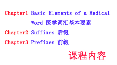 暑期班7.16日 护理词汇速记第1-3章