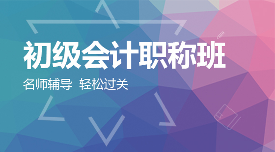 初級(jí)會(huì)計(jì)職稱（2017年版）