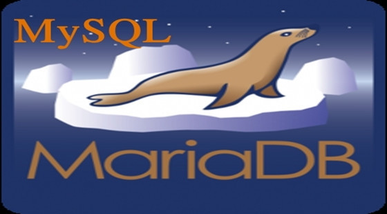 Mysql從入門到精通視頻教程【加薪必備版】