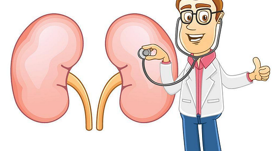 添翼ISPN/RN醫(yī)學(xué)詞匯課&nbsp;第六章&nbsp;泌尿系統(tǒng)&nbsp;urinary&nbsp;system