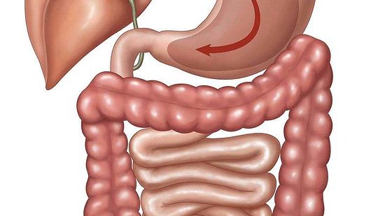 添翼ISPN/RN醫(yī)學詞匯課&nbsp;第十一章&nbsp;消化系統(tǒng)&nbsp;Digestive&nbsp;System
