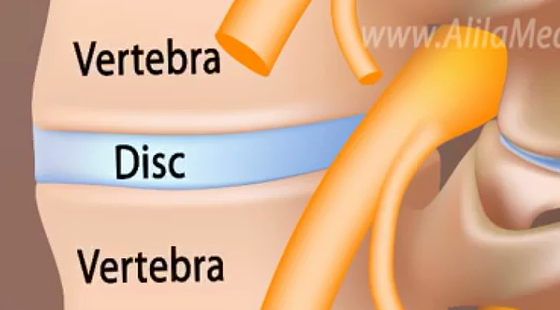 添翼ISPN/RN專業(yè)課&nbsp;69章&nbsp;骨骼系統(tǒng)用藥