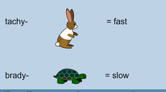 添翼ISPN/RN&nbsp;2017暑假班詞匯課&nbsp;第一章&nbsp;構(gòu)詞法