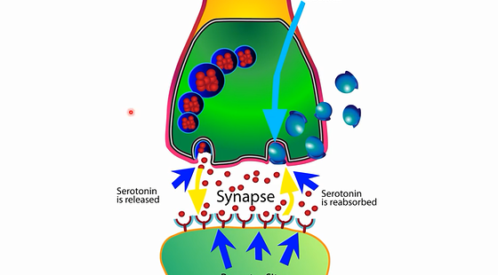 添翼ISPN/RN專業(yè)課77章&nbsp;精神科用藥
