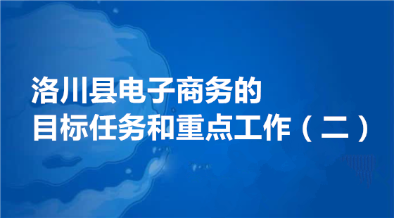 洛川县电子商务的目标任务和重点工作（二）