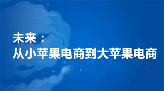 未来：从小苹果电商到大苹果电商