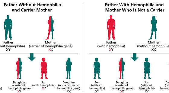 添翼2017-2018年ISPN/RN專業(yè)課&nbsp;34章&nbsp;血液系統(tǒng)疾病