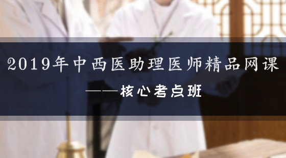 2019年中西醫(yī)助理醫(yī)師精品網(wǎng)課--核心考點(diǎn)班