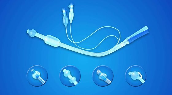 添翼2018-2019ISPN/RN&nbsp;專業(yè)課第20章&nbsp;管道護(hù)理