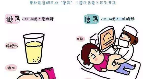 添翼2018-2019&nbsp;ISPN/RN專業(yè)課&nbsp;第&nbsp;26章&nbsp;妊娠期風(fēng)險因素