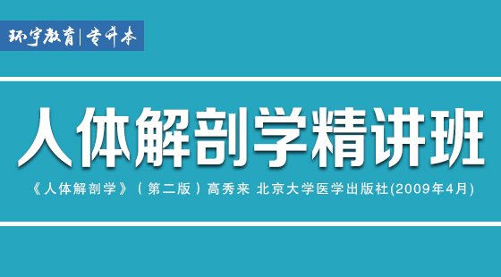 2019年人體解剖