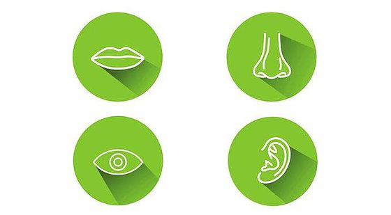 添翼2018-2019&nbsp;ISPN/RN&nbsp;專業(yè)課第60章&nbsp;成人眼科耳科系統(tǒng)疾病