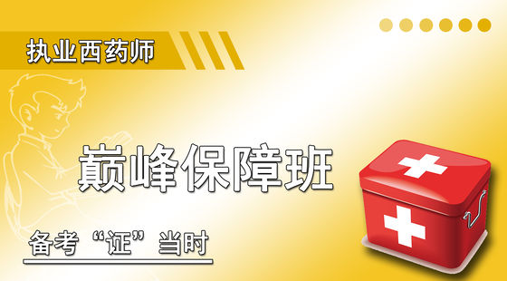 巔峰保障班（西藥）