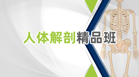 2020年人體解剖精品班