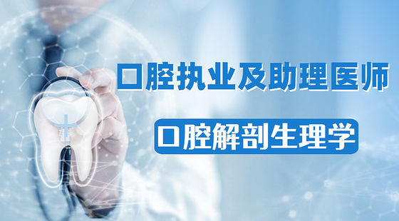 口腔執(zhí)業(yè)及助理醫(yī)師考試系統(tǒng)課：口腔解剖生理學(xué)
